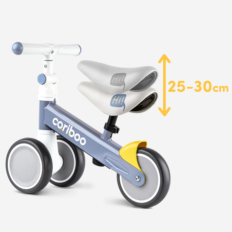 Adjustable saddle height