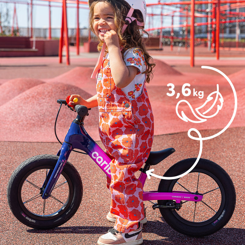 Ultra-lightweight: Top configuration weighs only 3.6 kg.