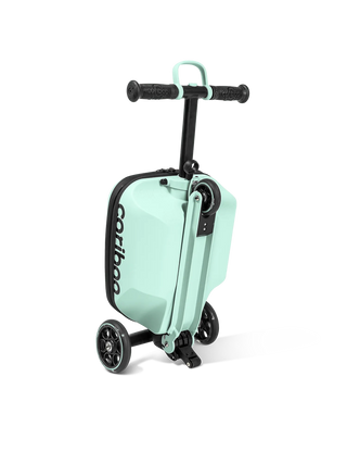 Cariboo iTravel (mátová)