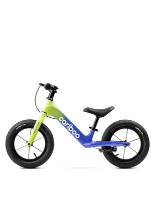 Cariboo Magnesium Max (lemon-blue)